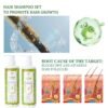 OEM Anti-Hair Fall Biotin Shampoo